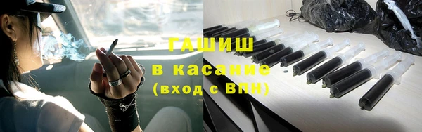 шишки Осинники
