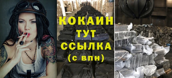 шишки Осинники